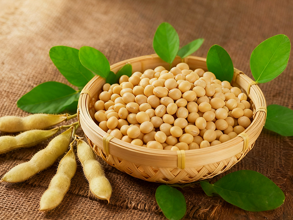 大豆